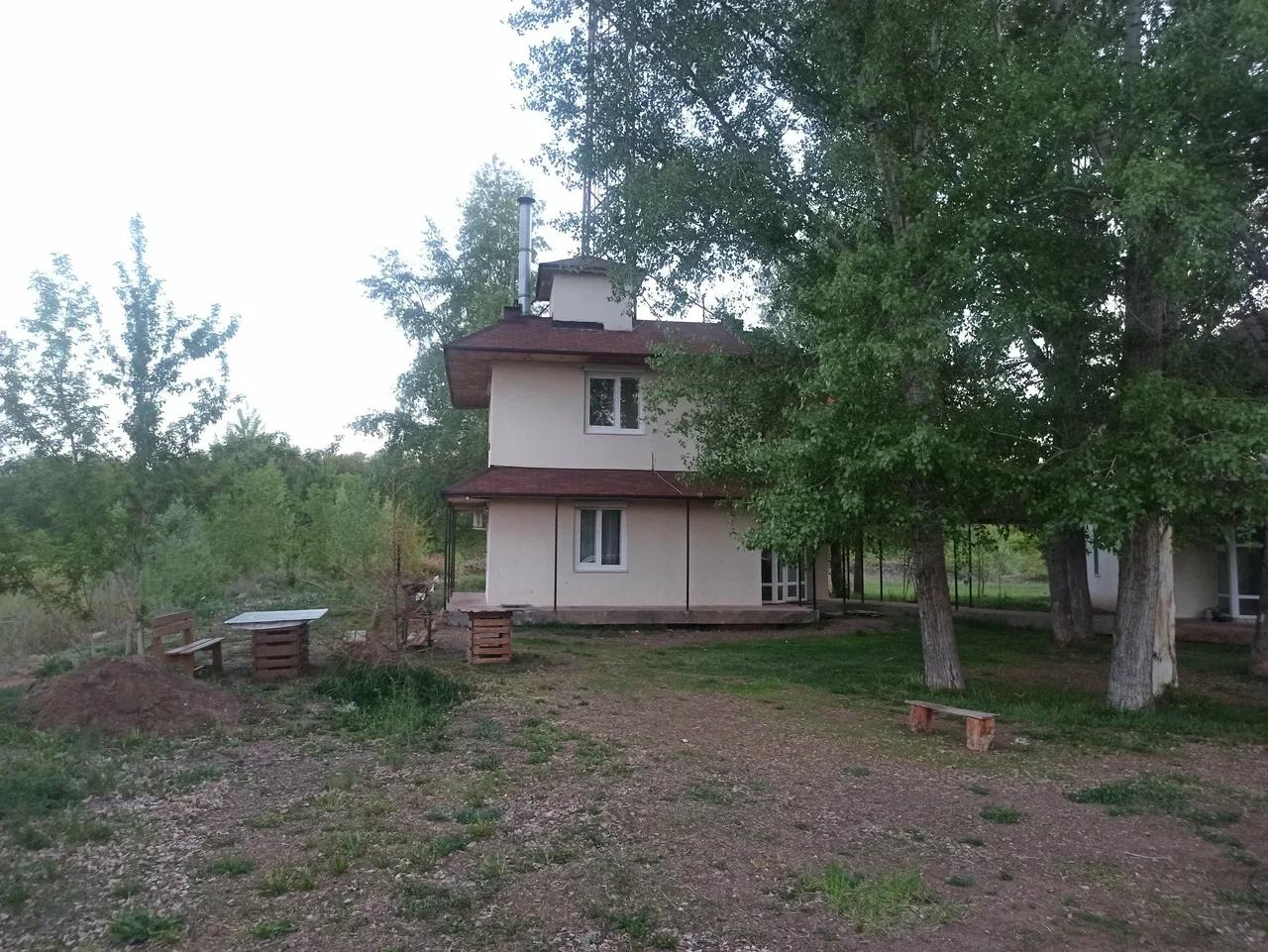 Дикий берег