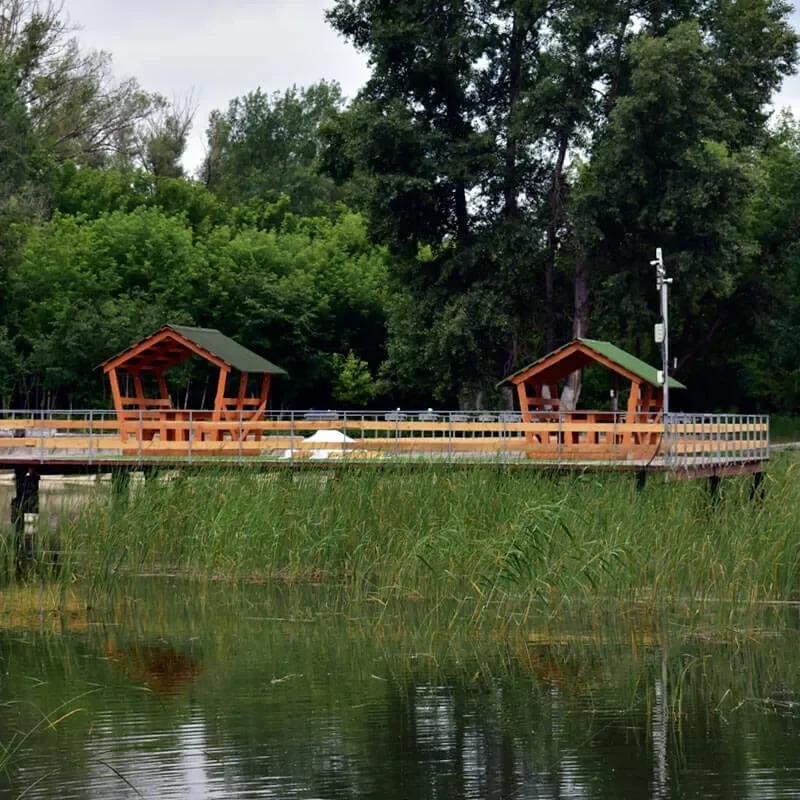 Веселый карп
