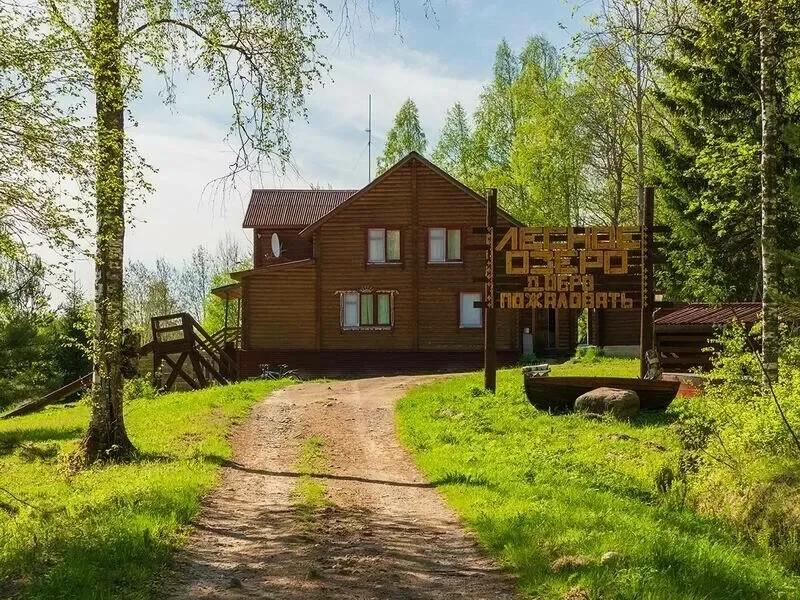 Лесное озеро