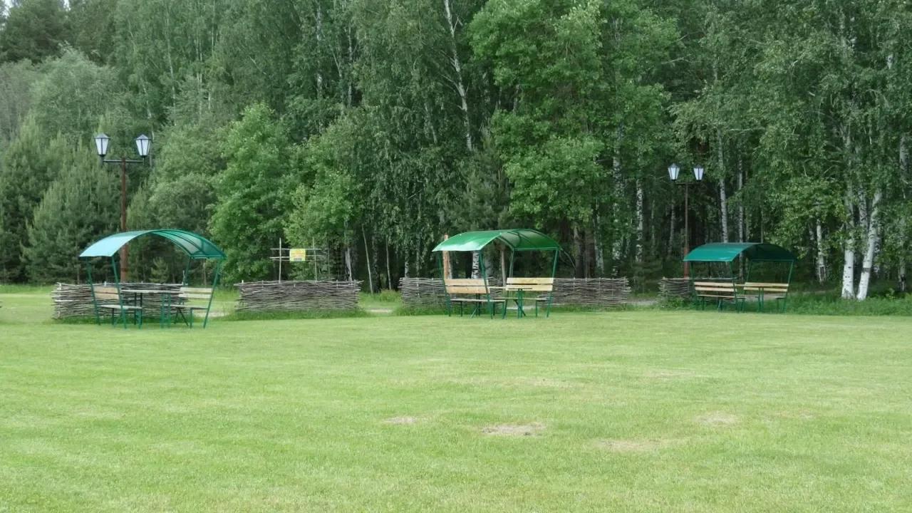 Кувшинка