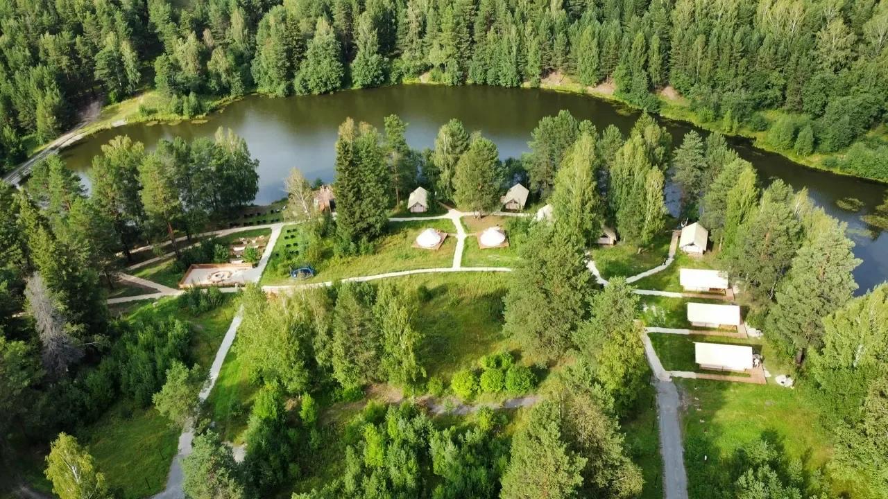 Сила Леса