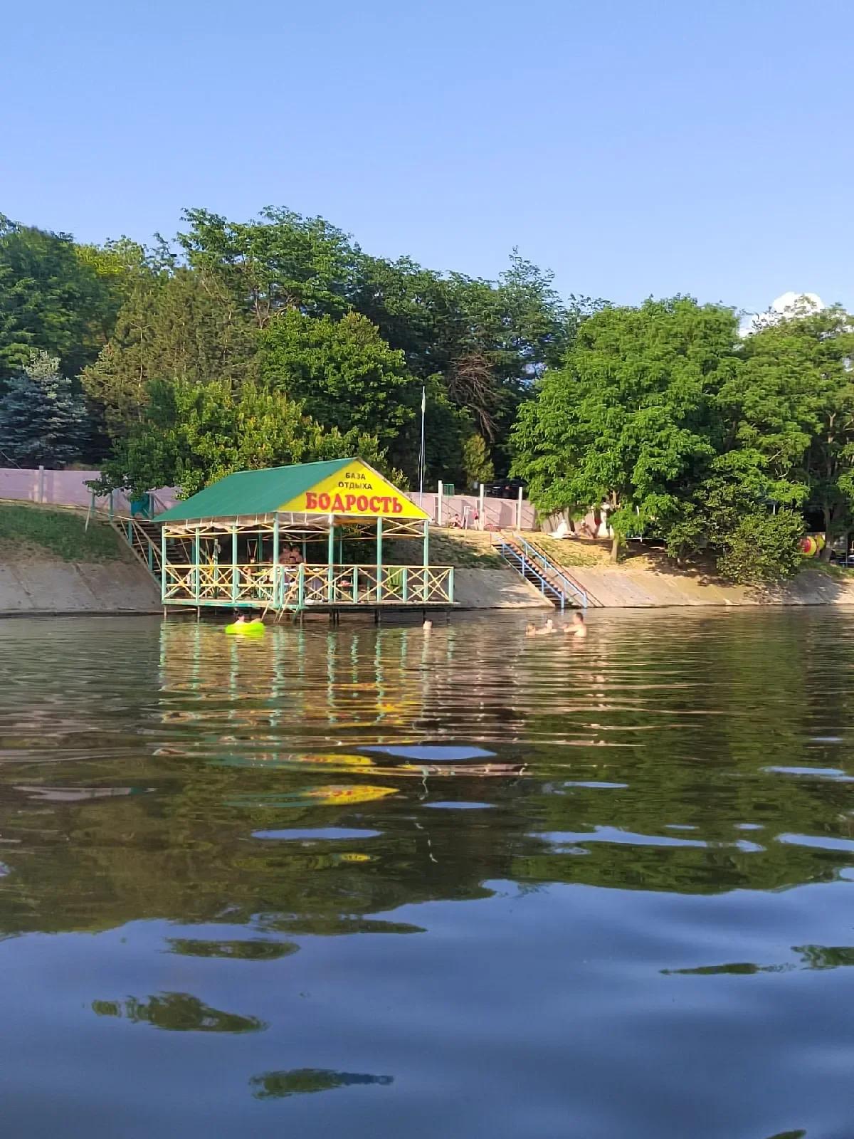 Бодрость