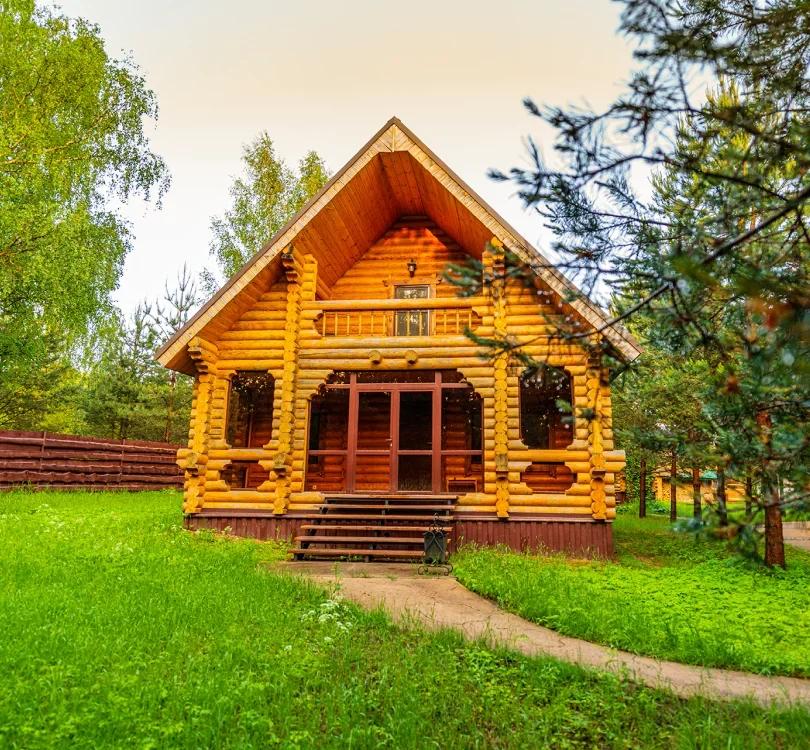 Белая морошка