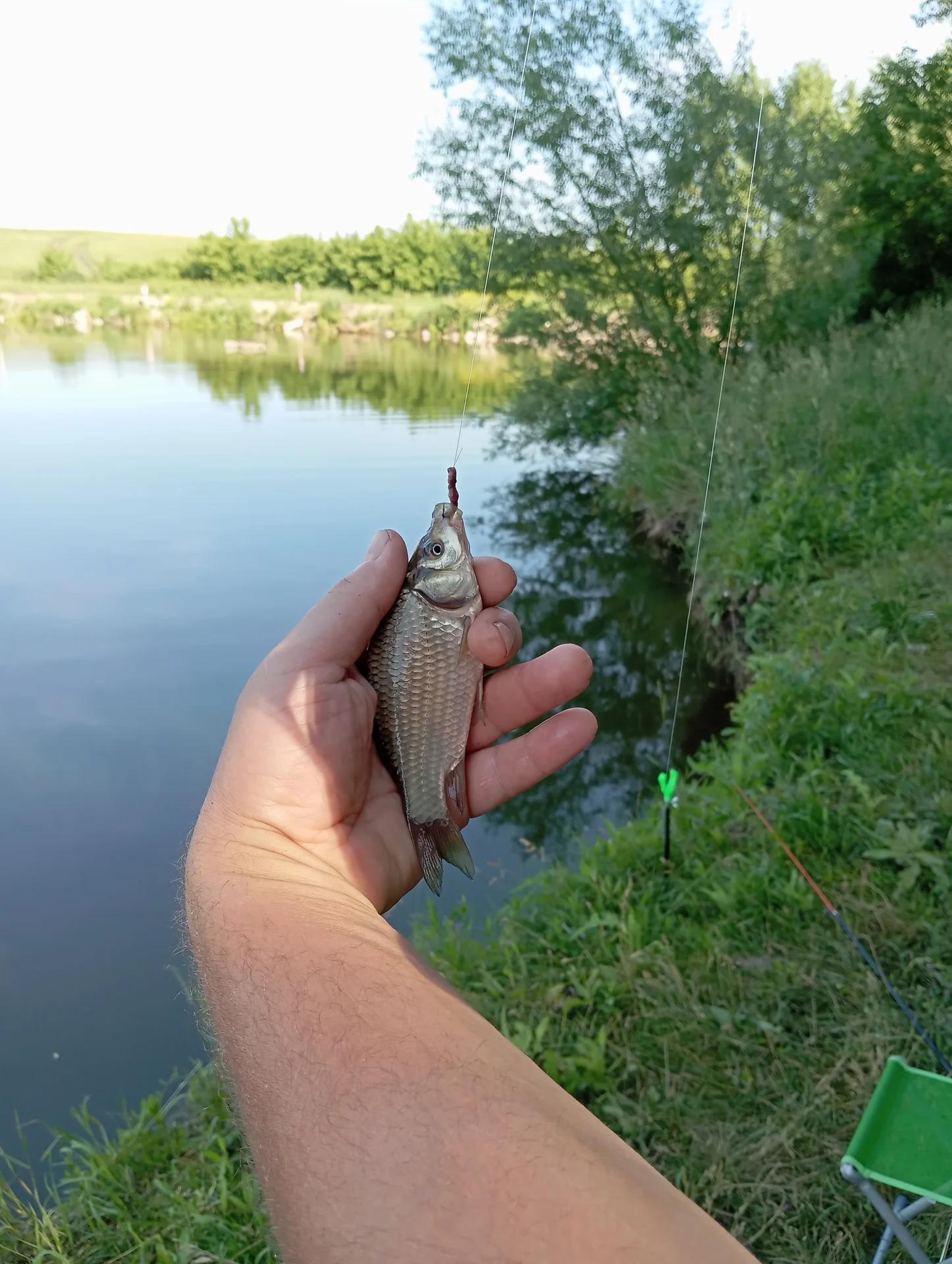 Старая Белокуриха