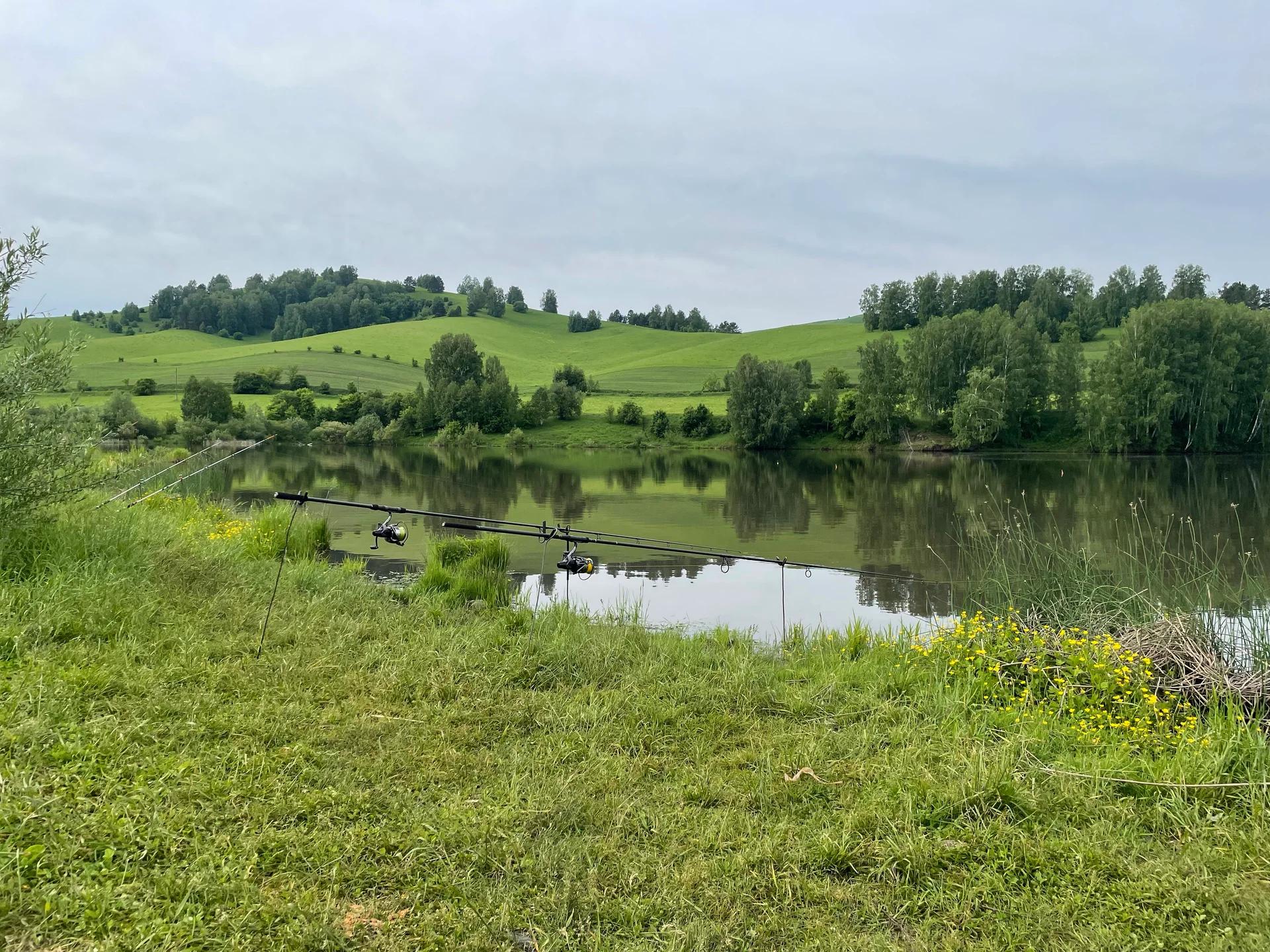 Сараса