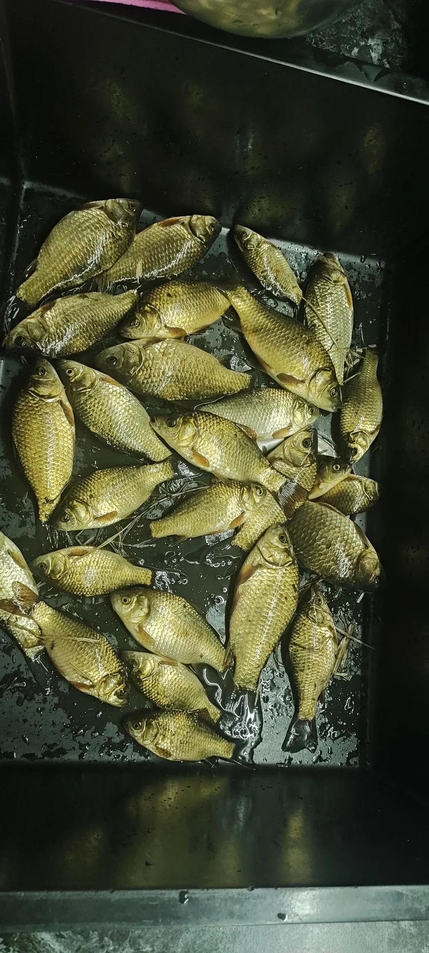 Казань
