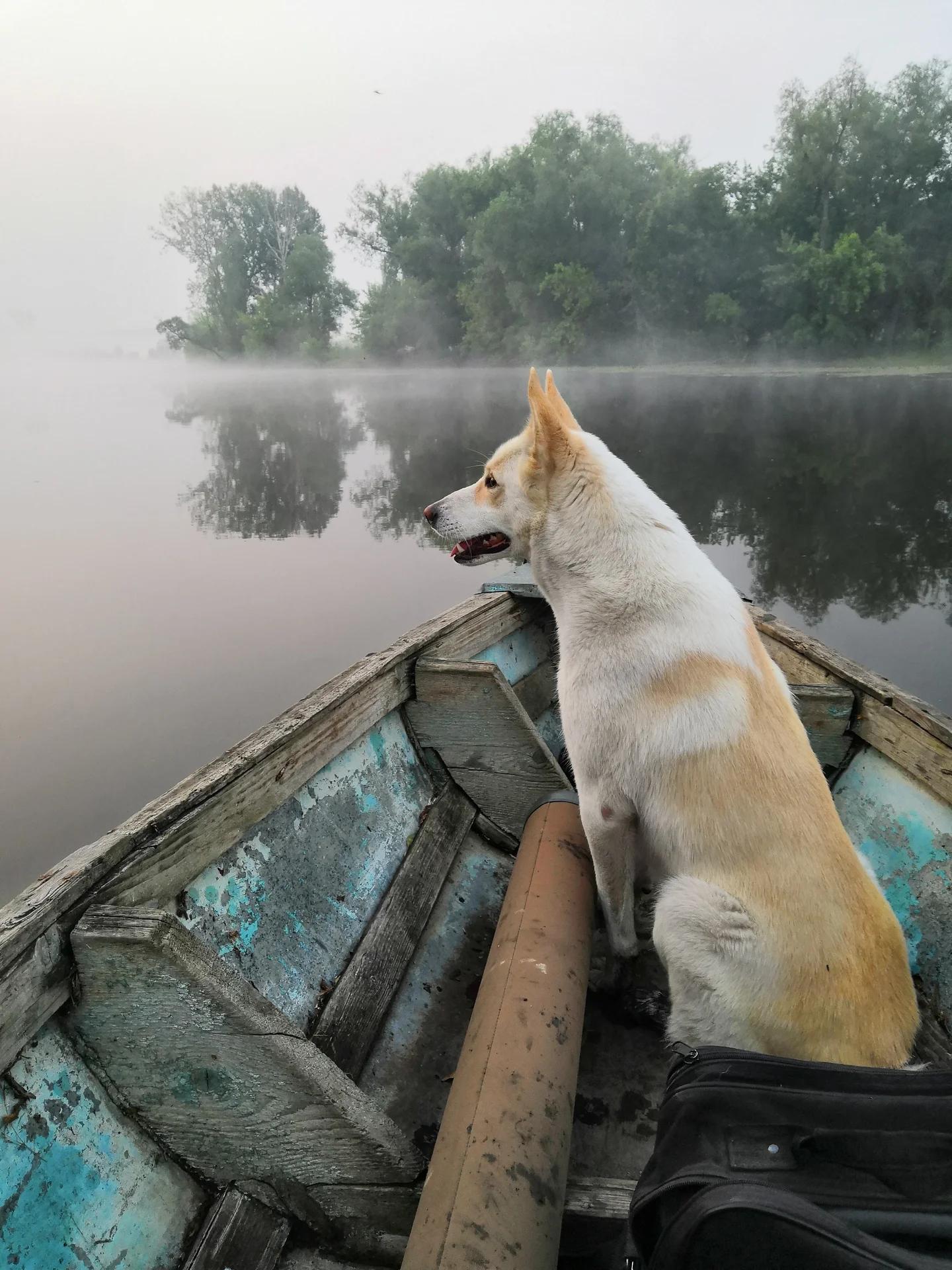 Завьялово