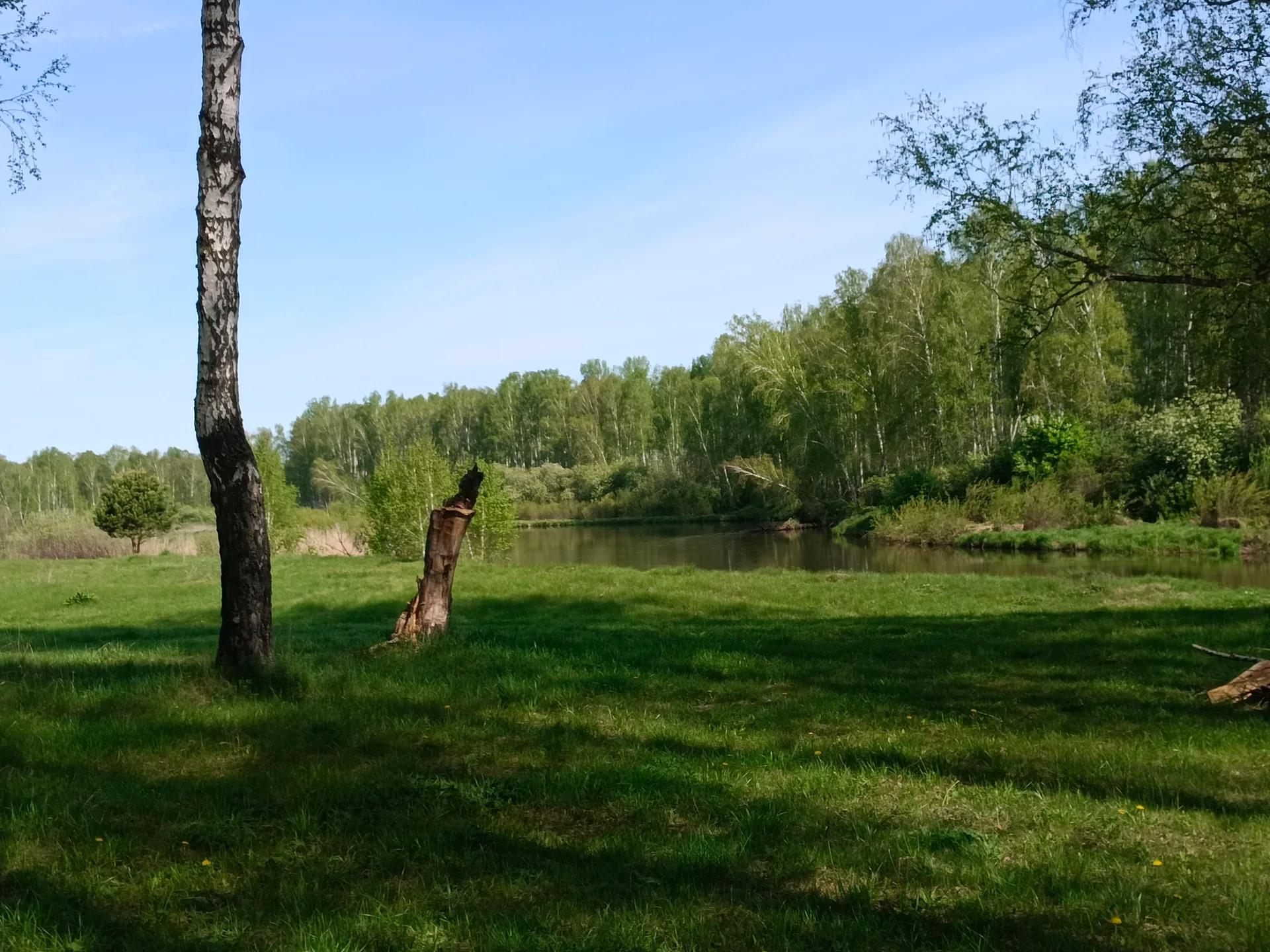 Шершнёвское водохранилище