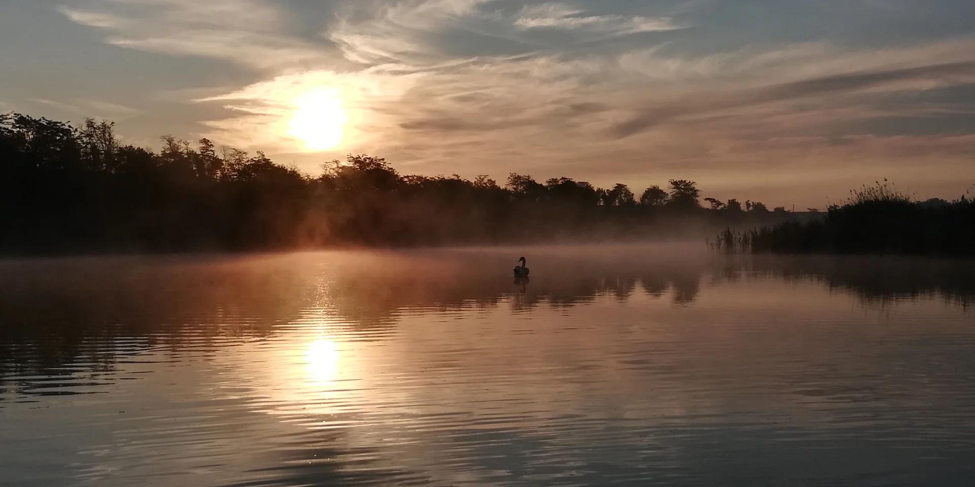 Челбас