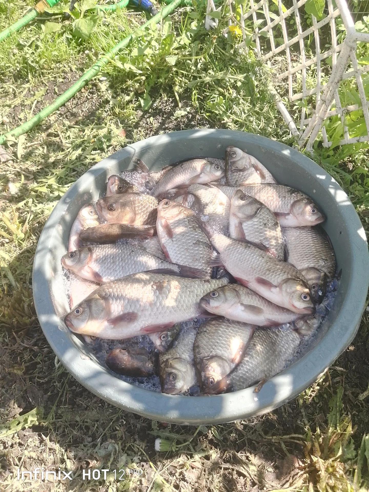 Урожайный