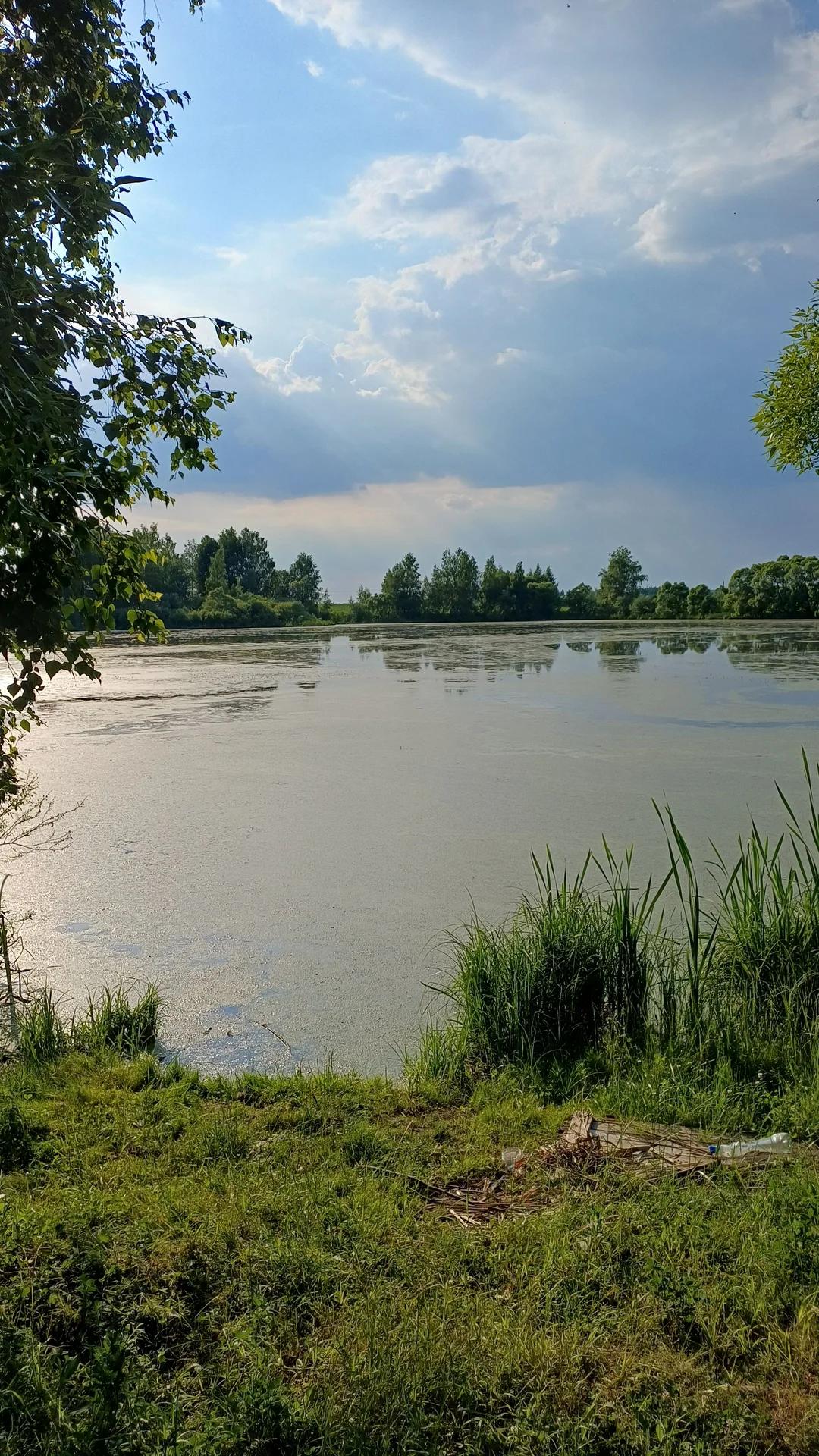 Сухая Городенка (Чернозем)