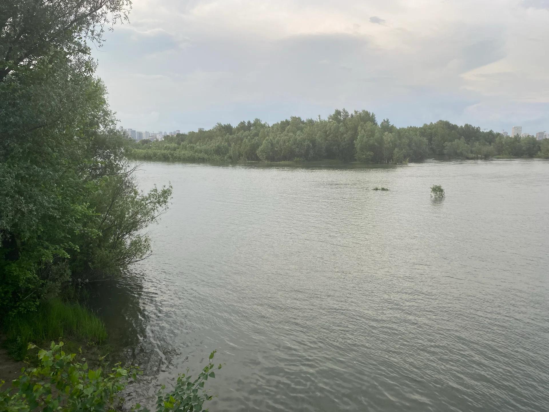 Новосибирск (Обь)