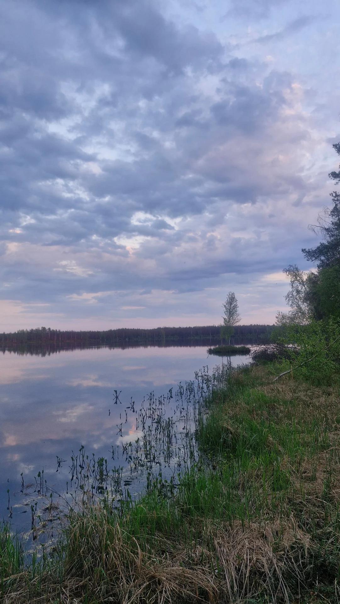 Чёрное