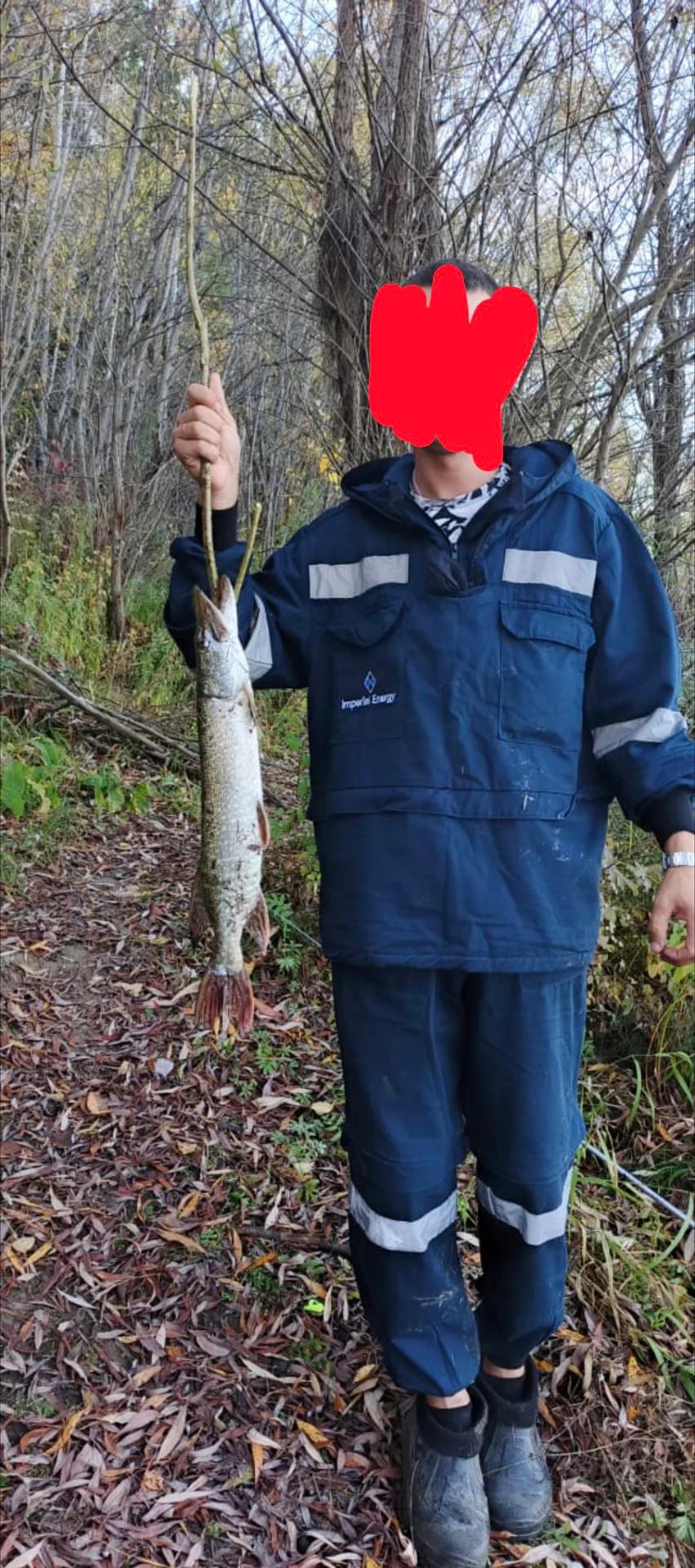 Бровка (Обь)