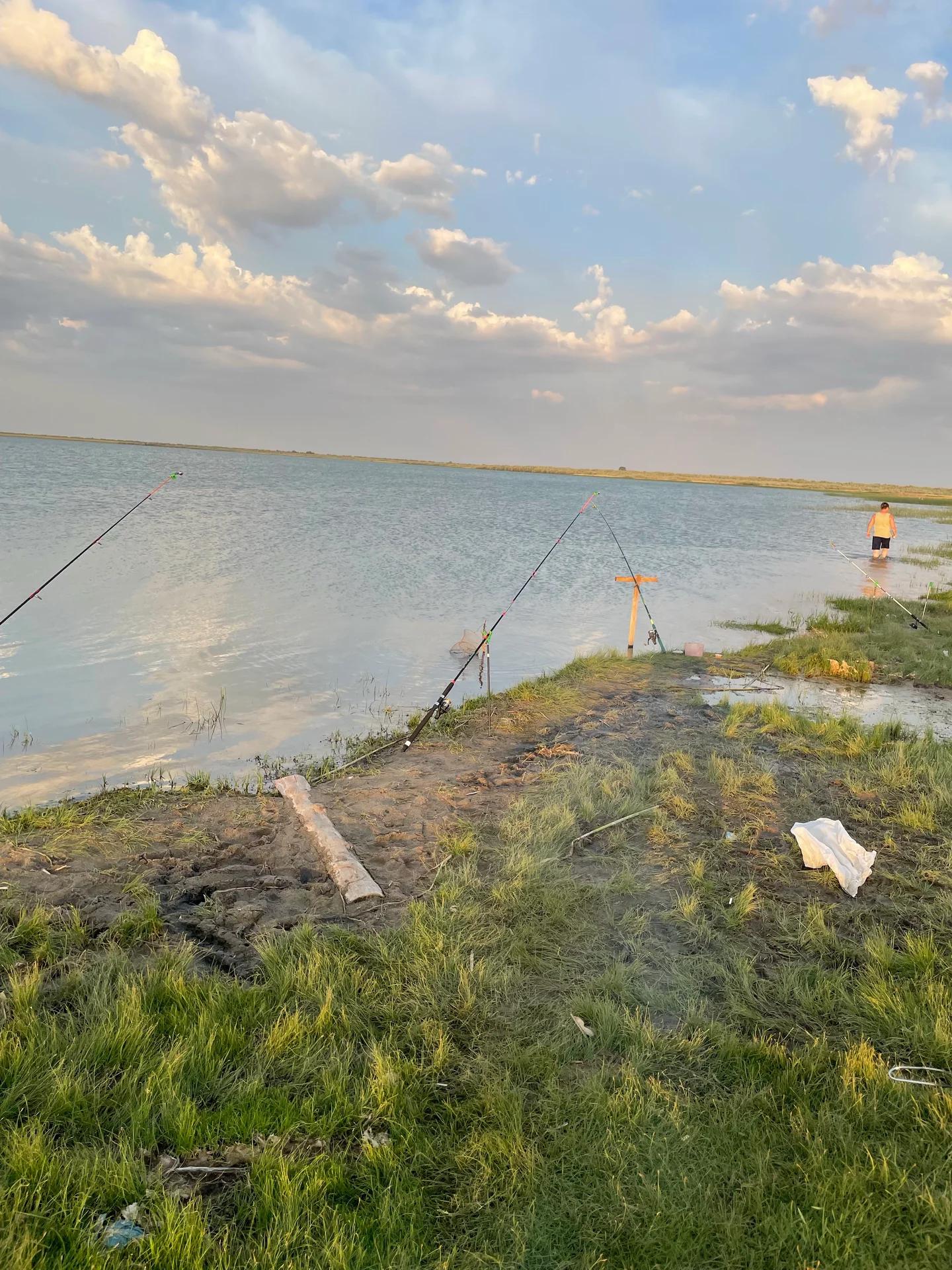 Жыланды