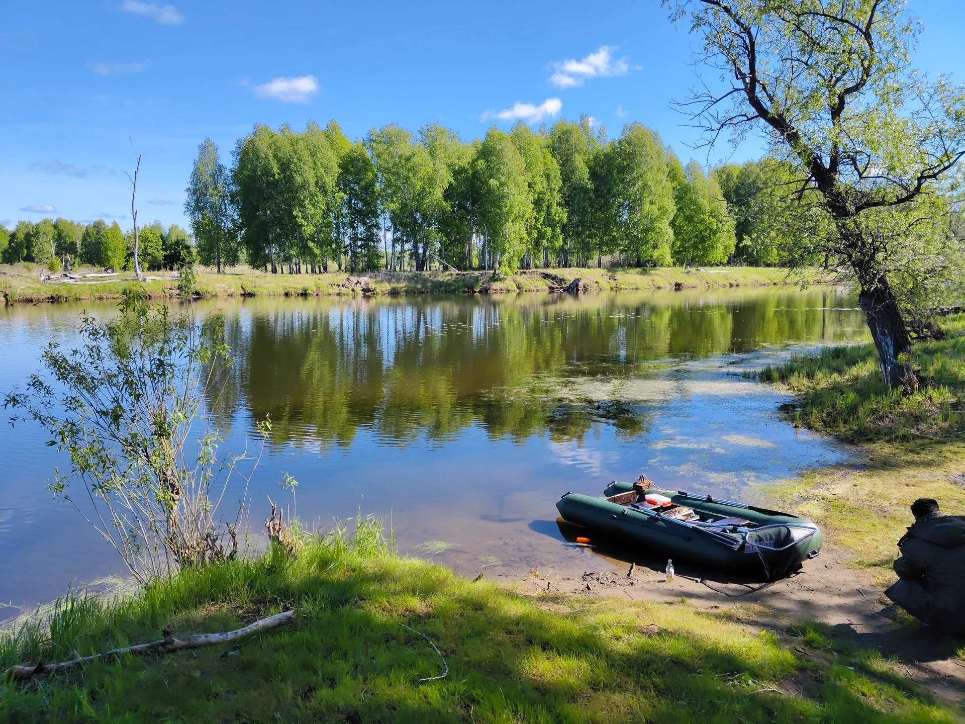 Курья