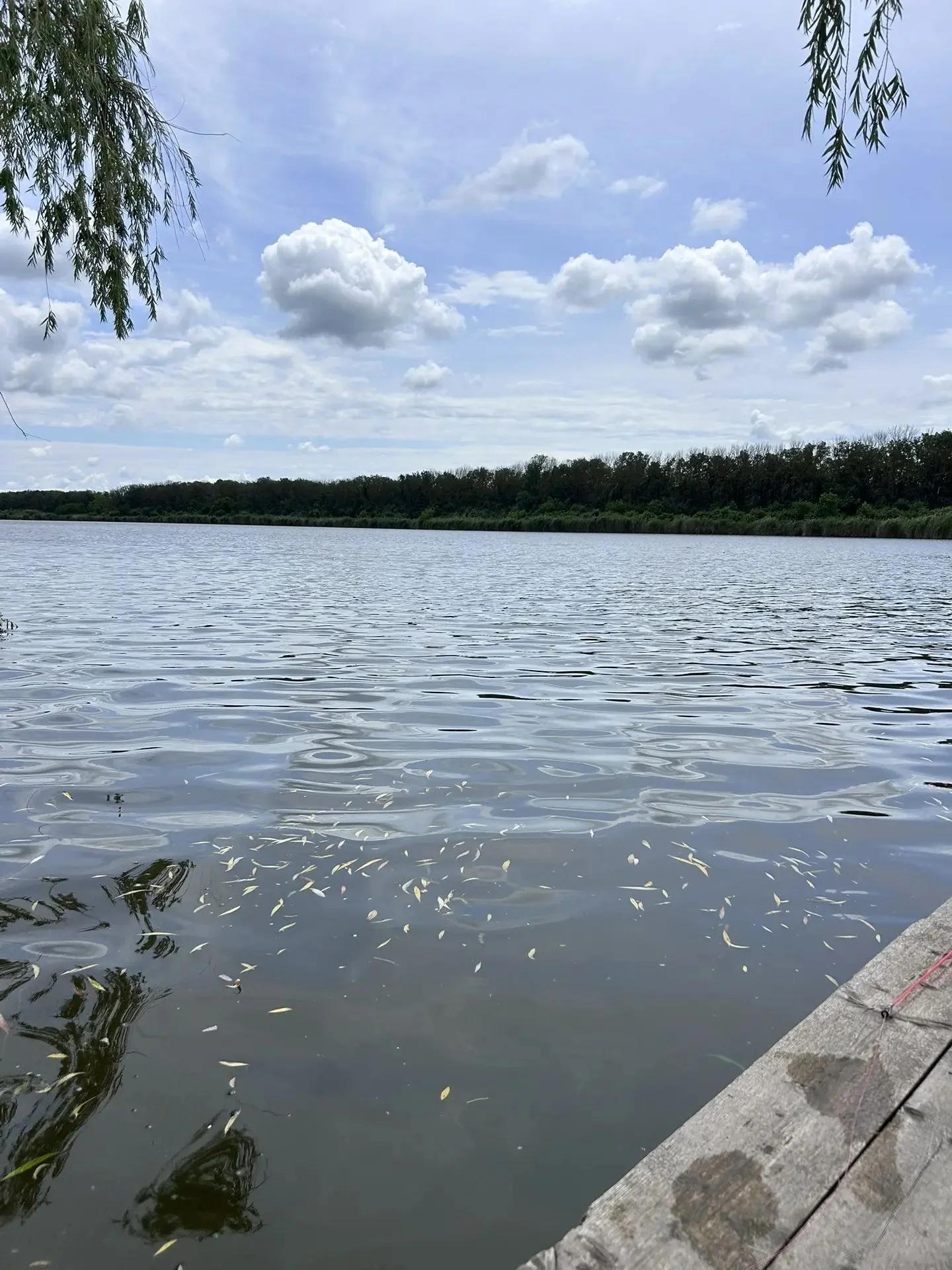 Сталинский