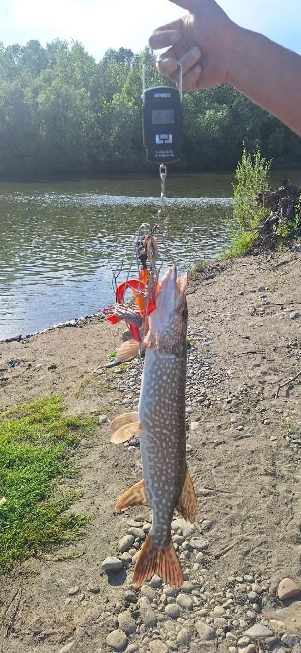 Чемровка
