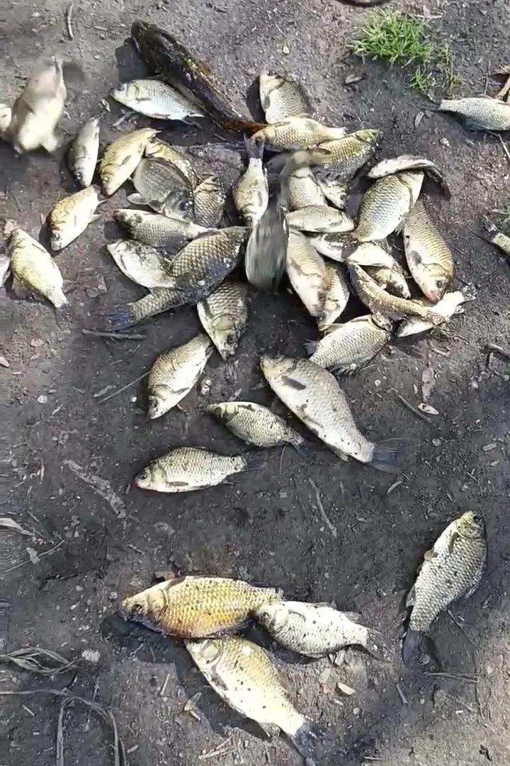 Мельничное