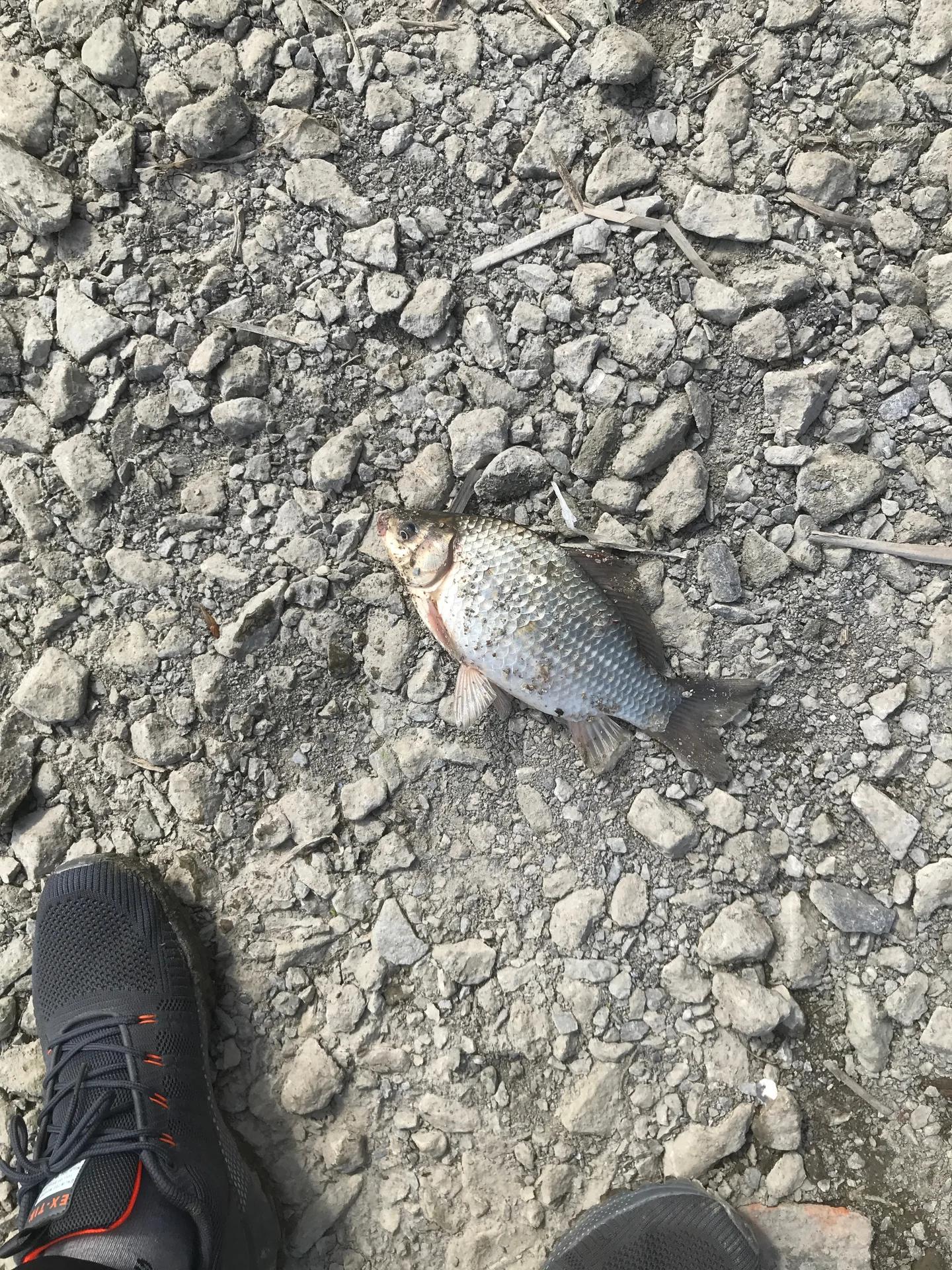 Беловское водохранилище
