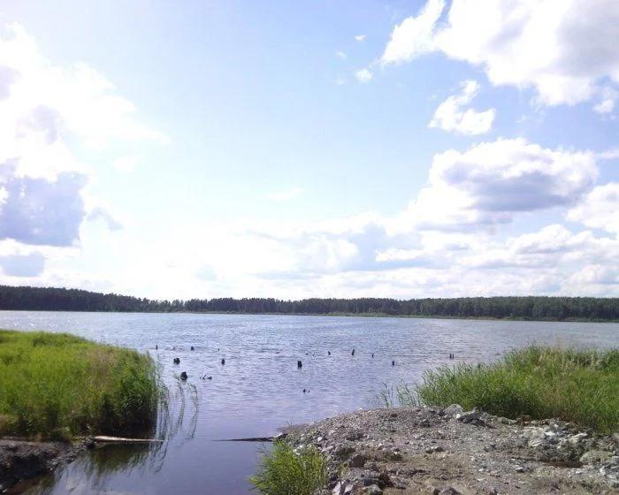 Окуневское