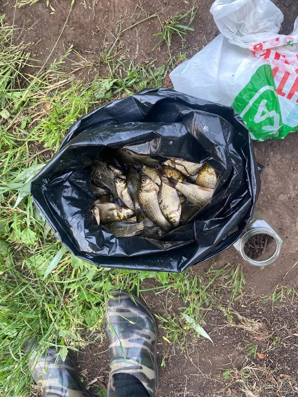 Шарипово