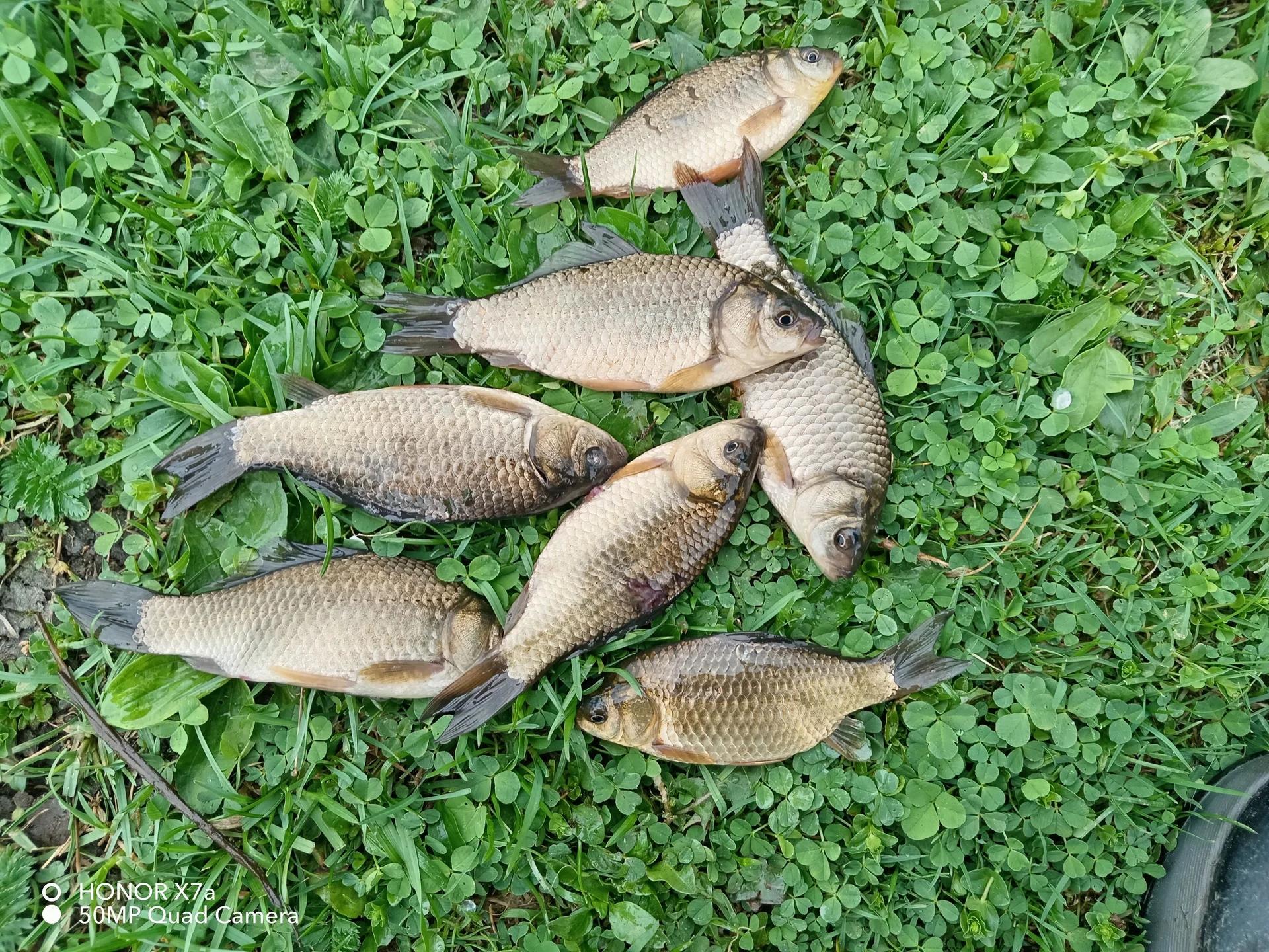 Турочак