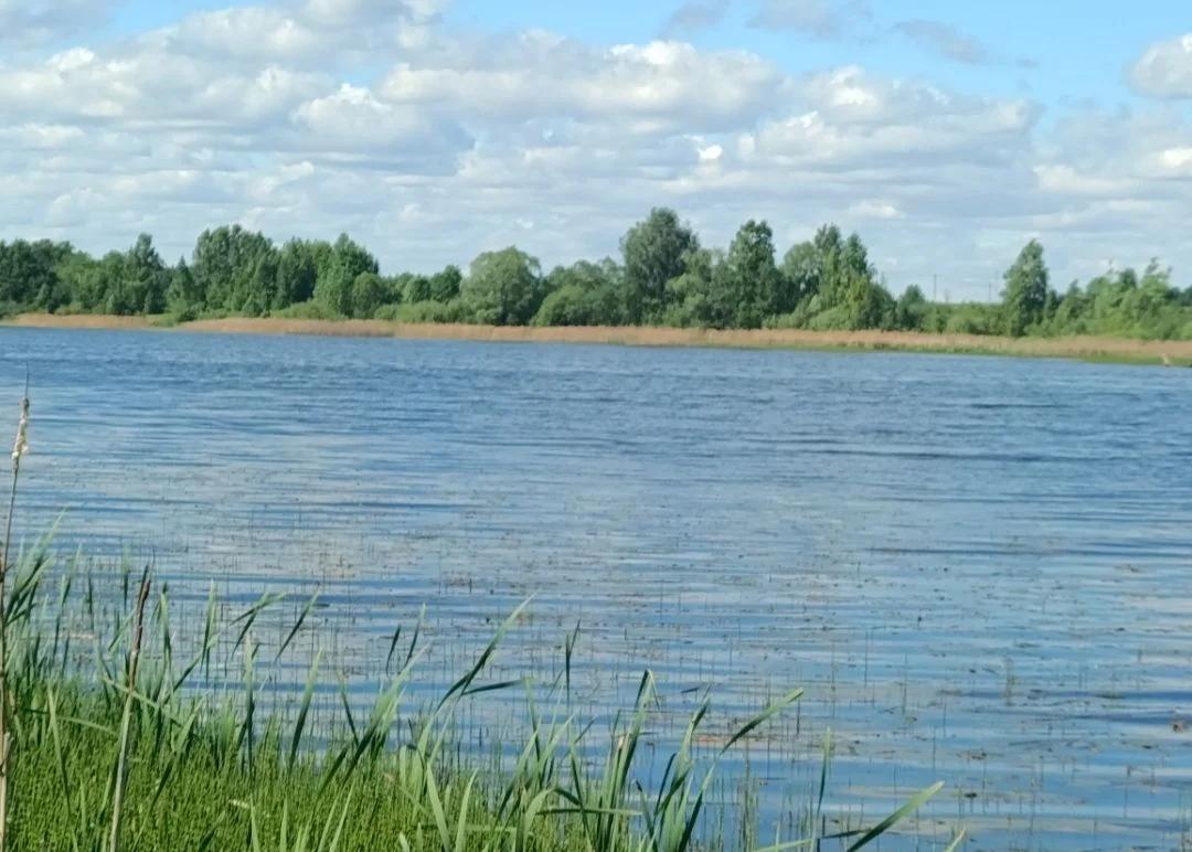 Зубовский пруд