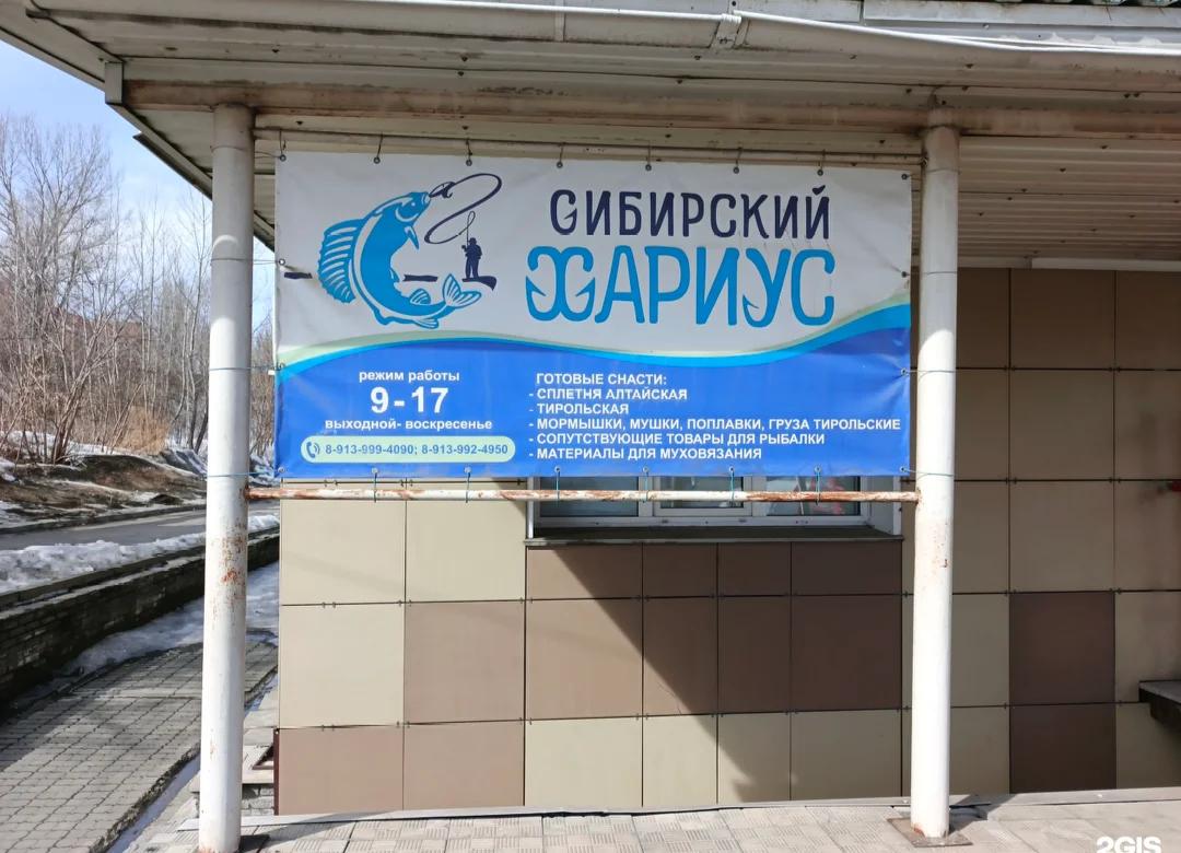Сибирский хариус