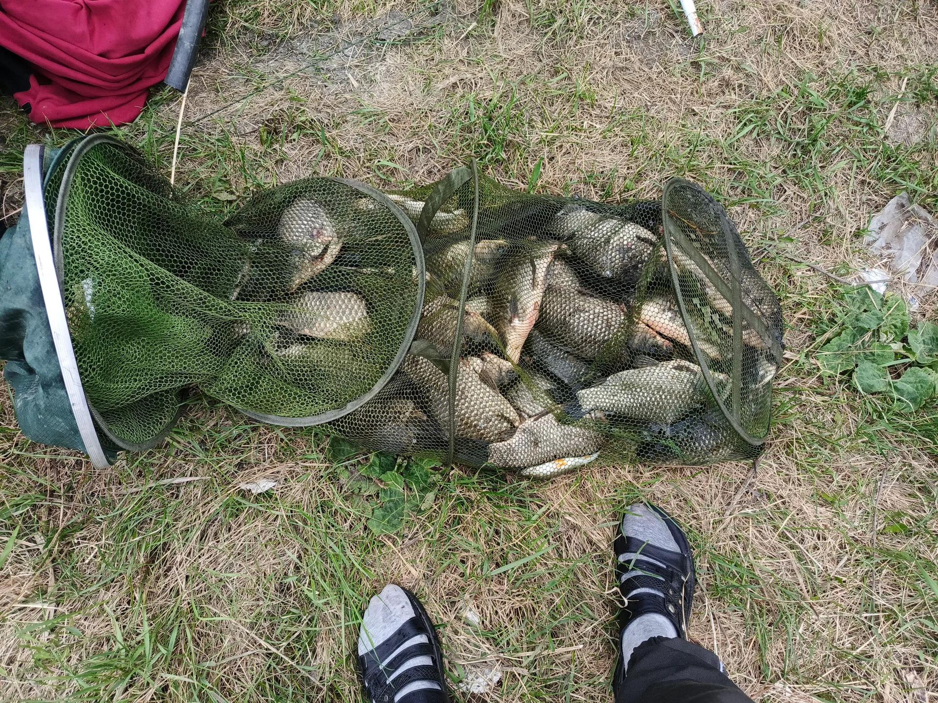 Красный Яр