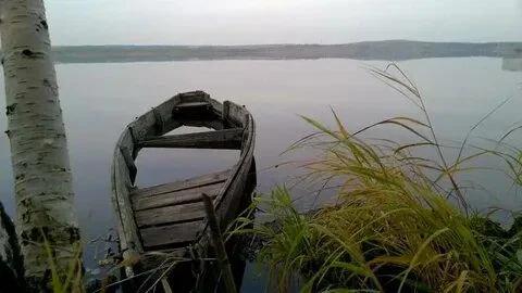 Половинное