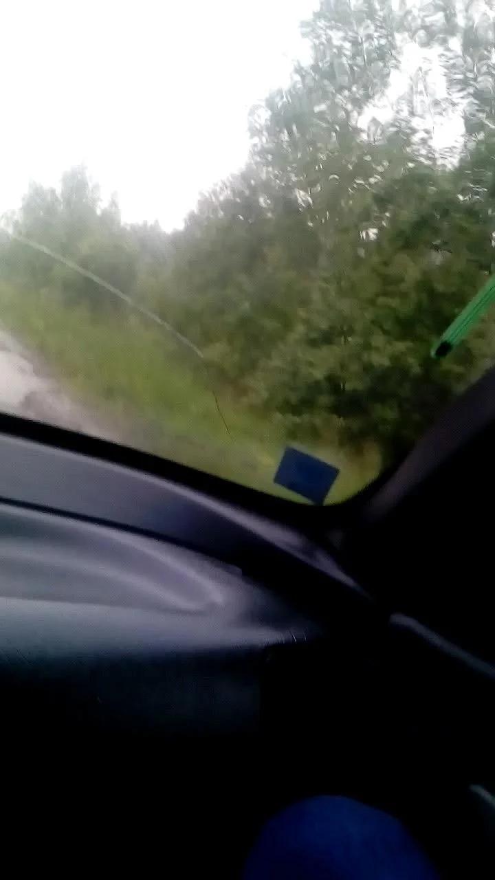 Протоки рек юганская Обь