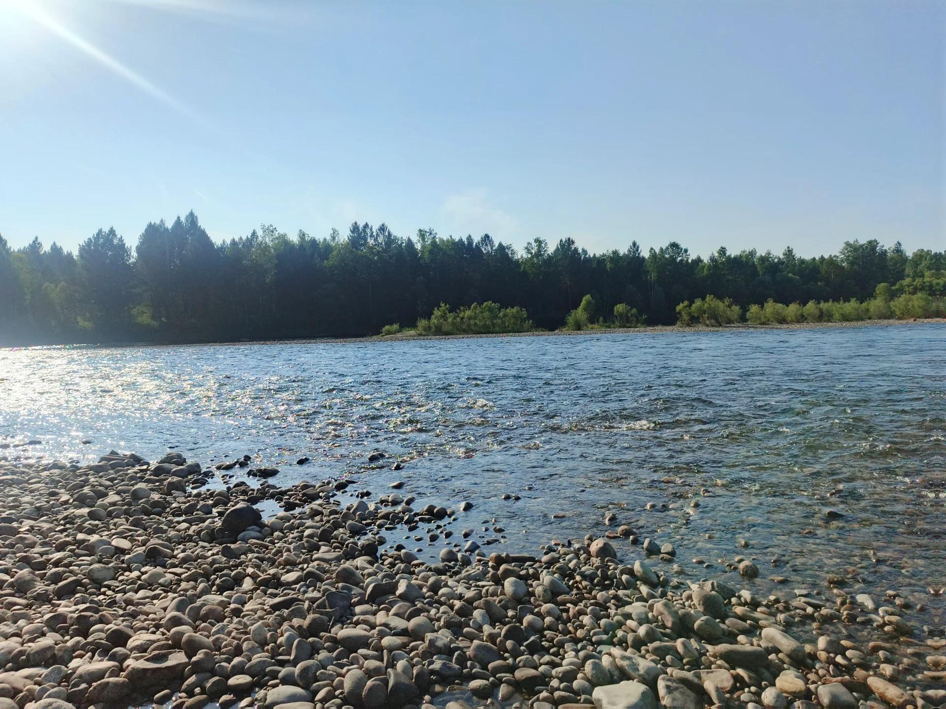 Белая