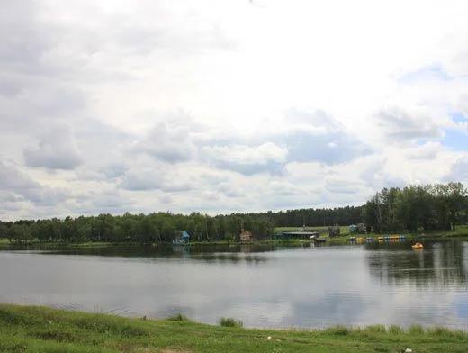 Белая