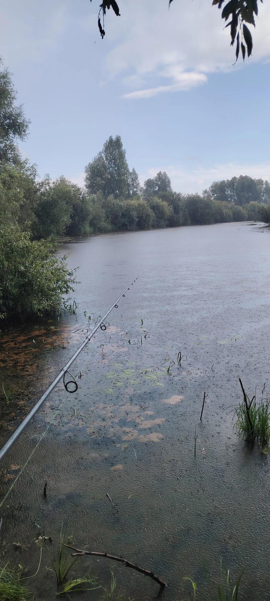 Уень