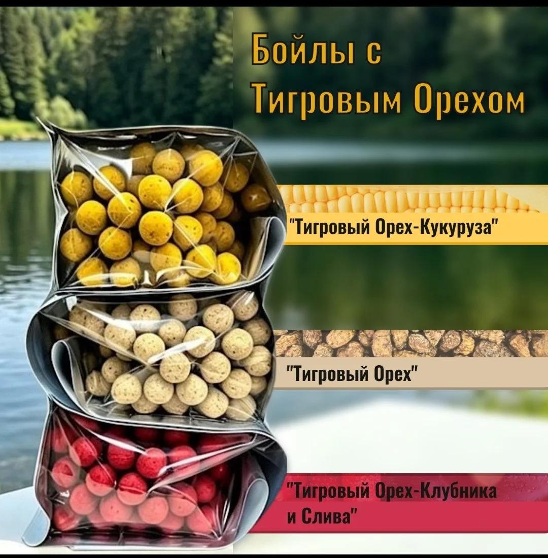 Тигровая акула НСК — фото 3