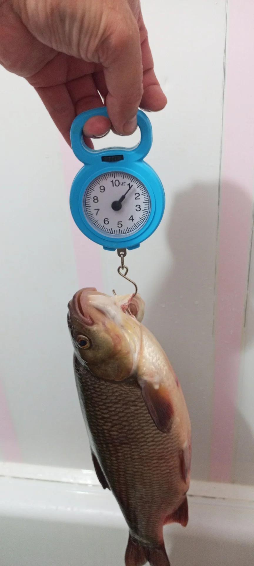 Енисей