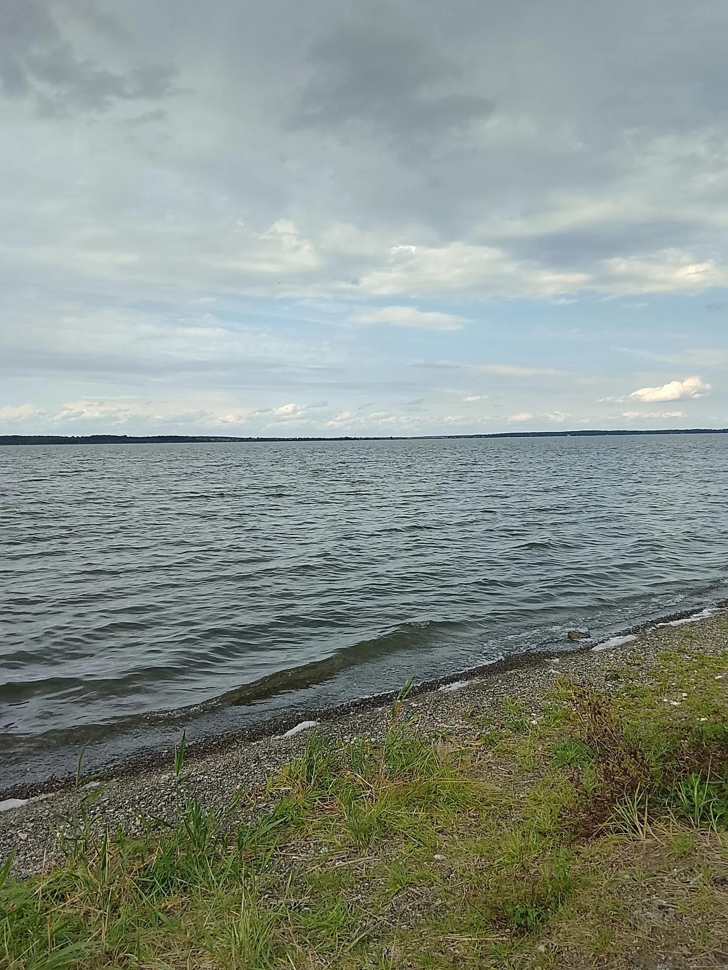 Касарги
