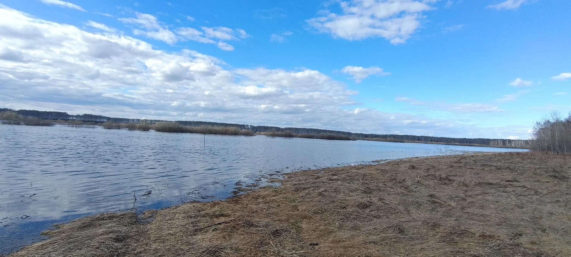 Омь