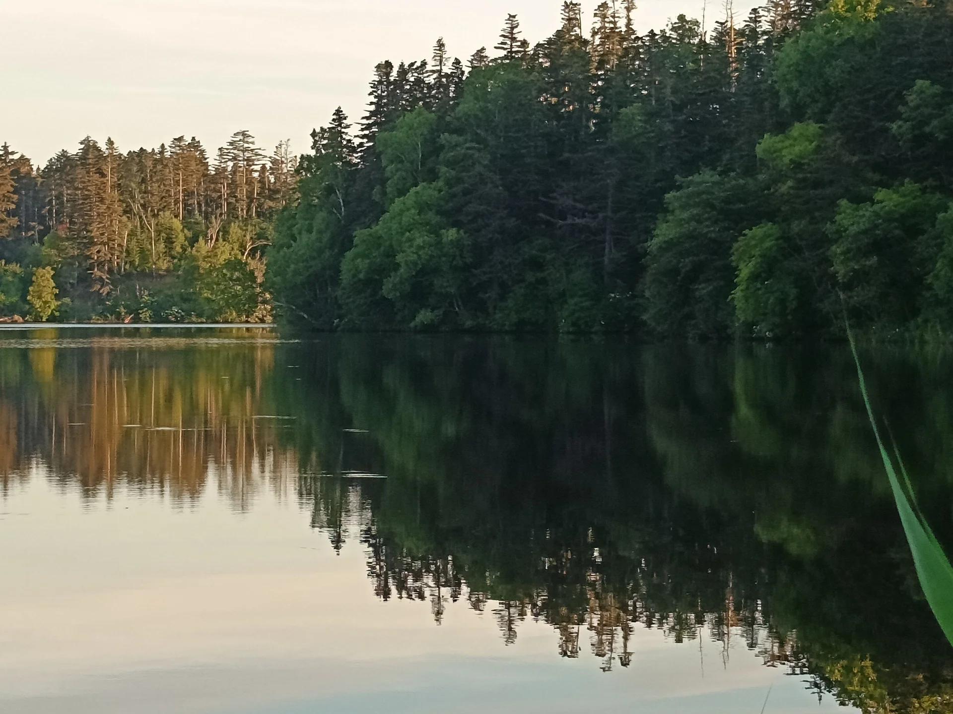 Седых