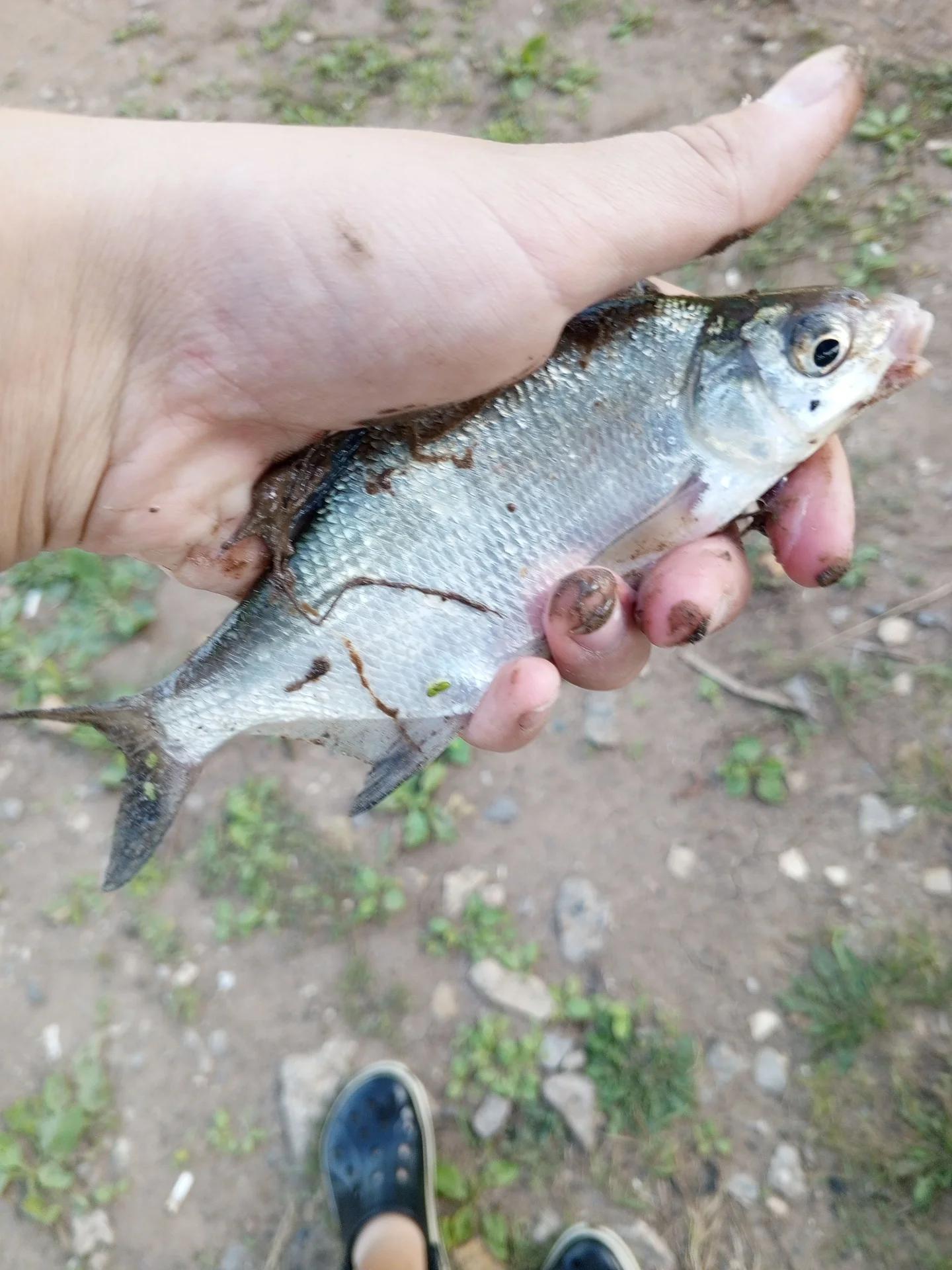 Самара