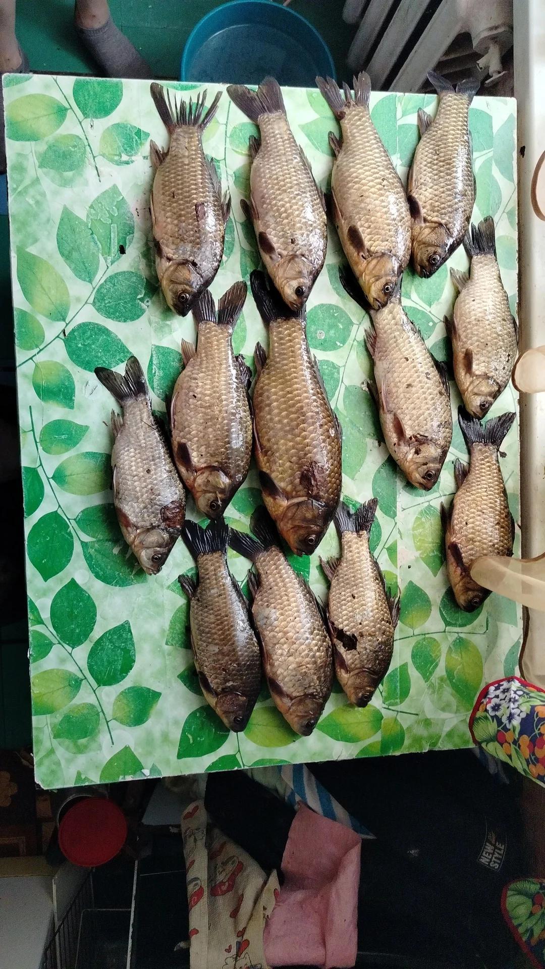 Белоусовский