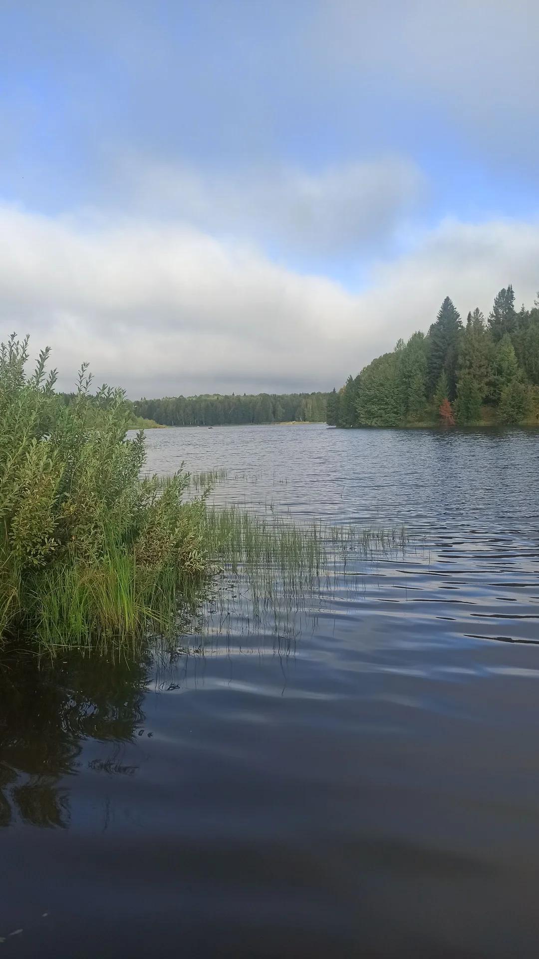 Лынга