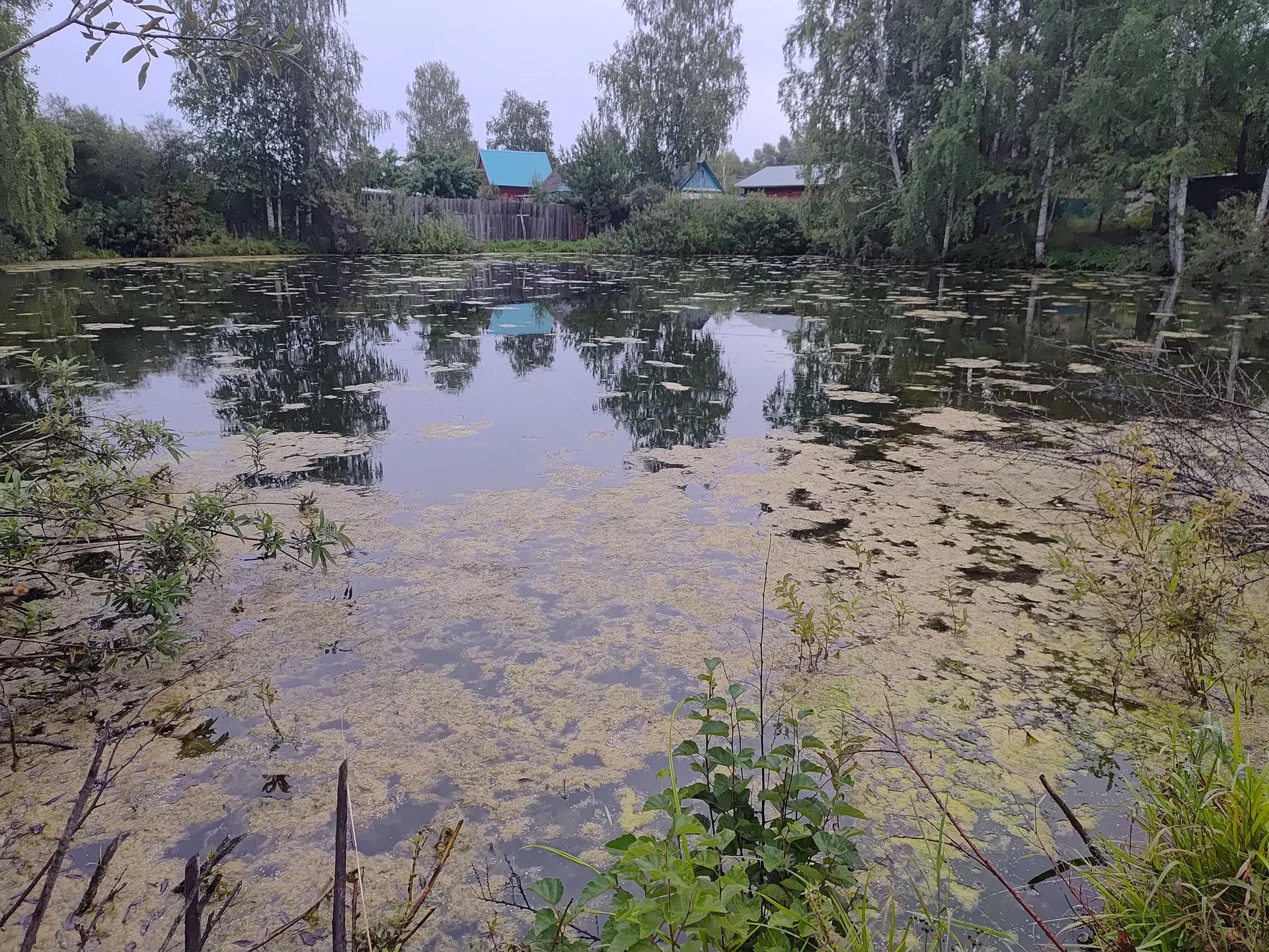 Сорокино
