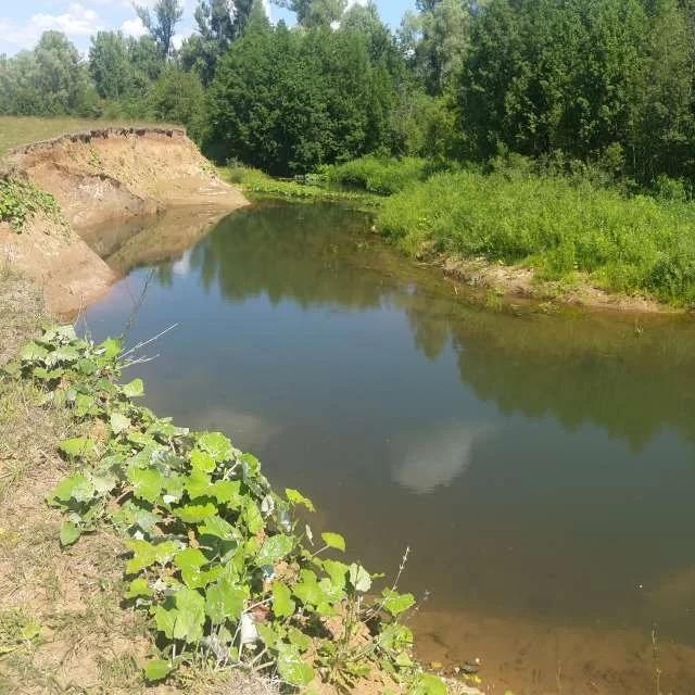 Курт