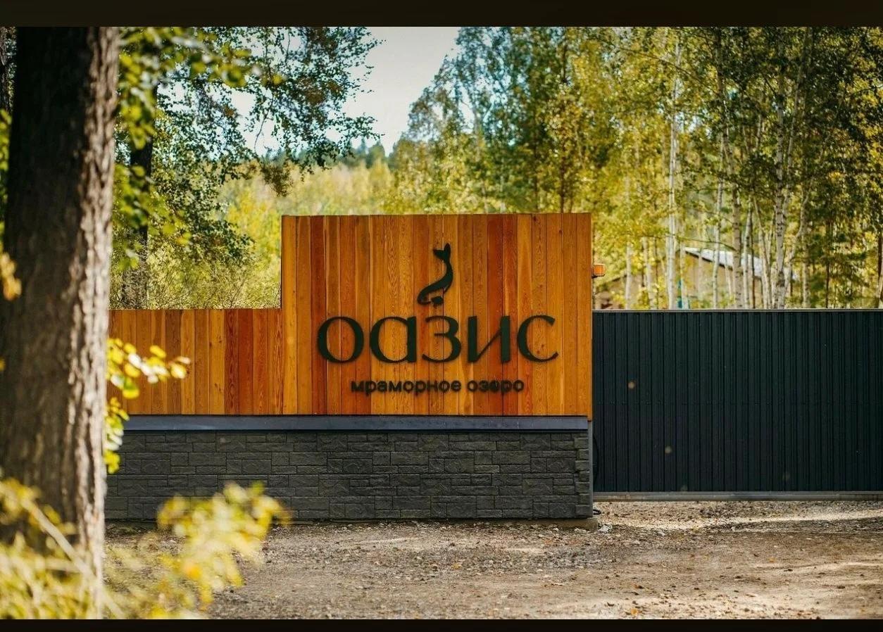 Оазис