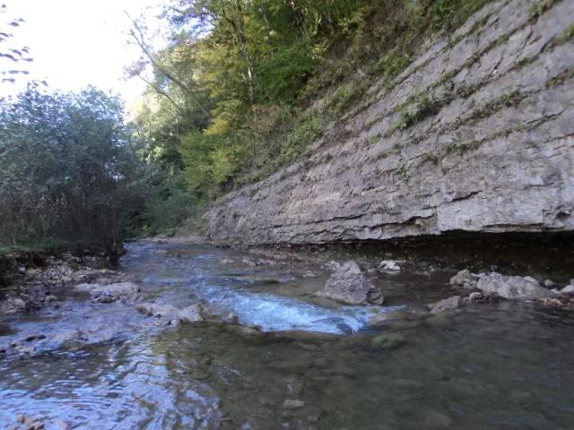 Кува