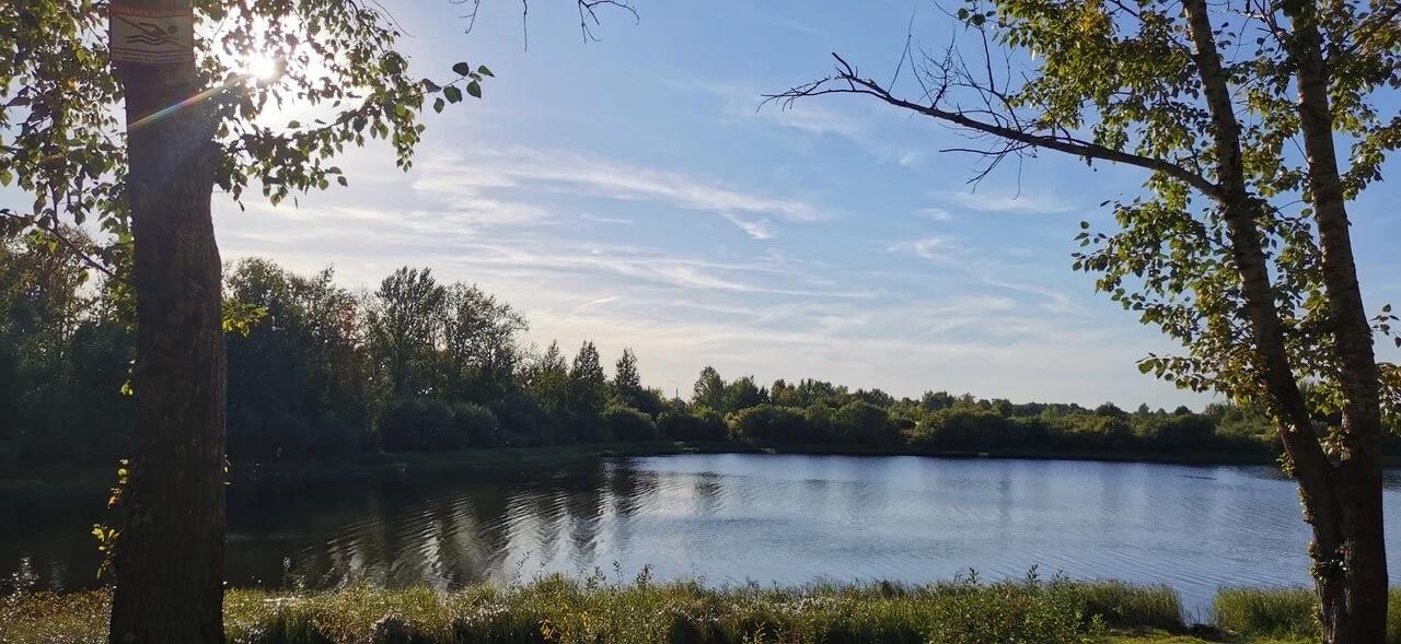 Зелёное