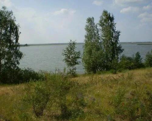 Карагуш