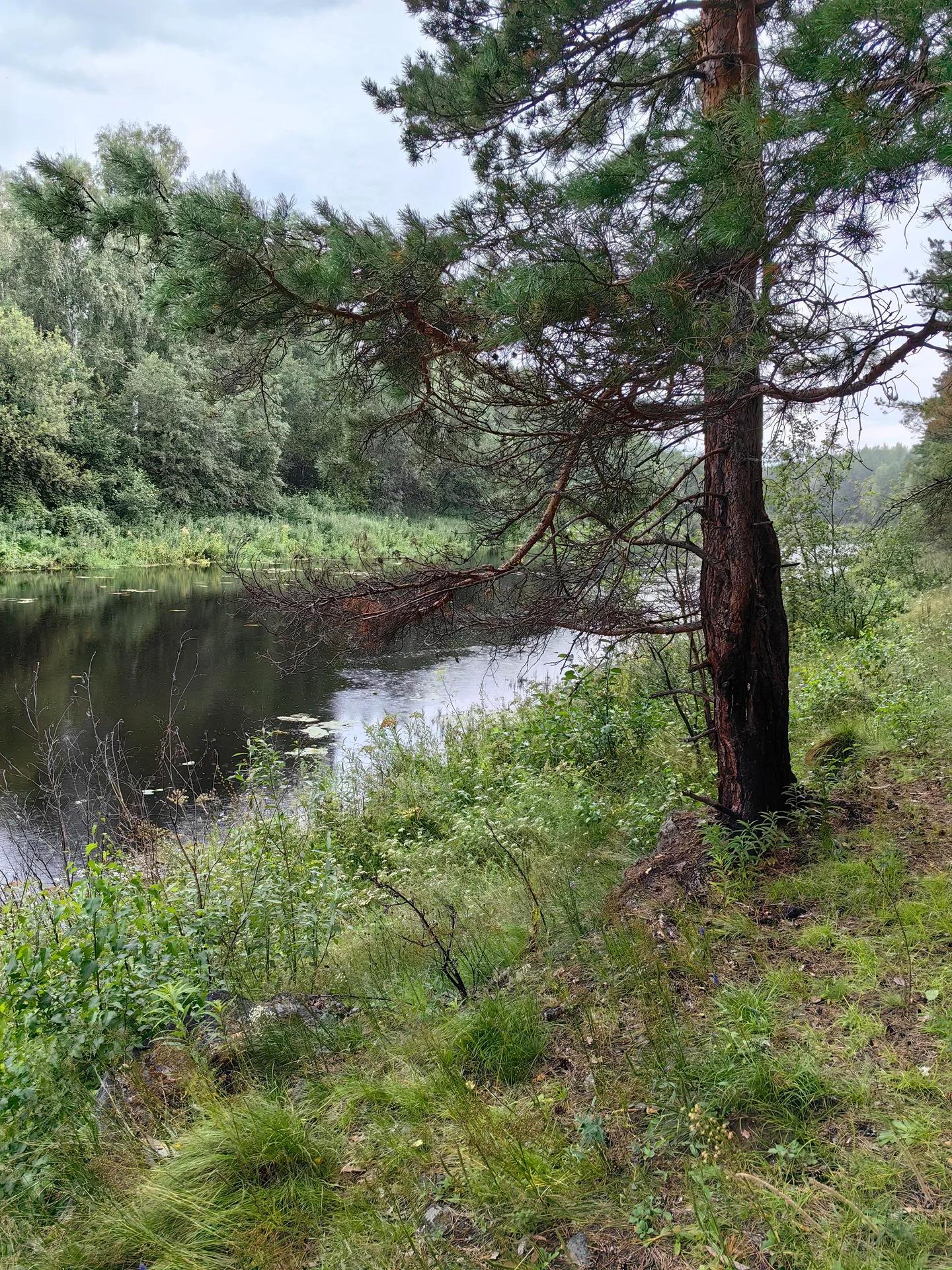 Багаряк